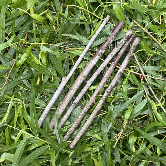 Willow Cuttings