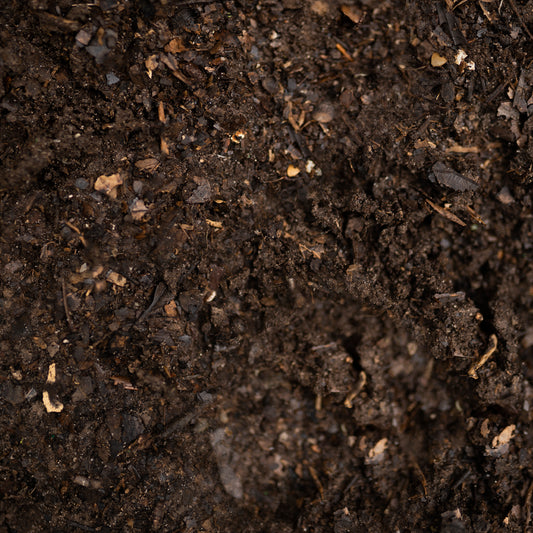 Organic Forest Floor Compost (Living Soil)